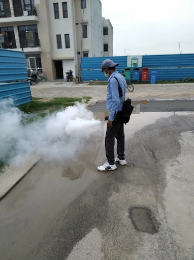 Delhi Pest Control Services