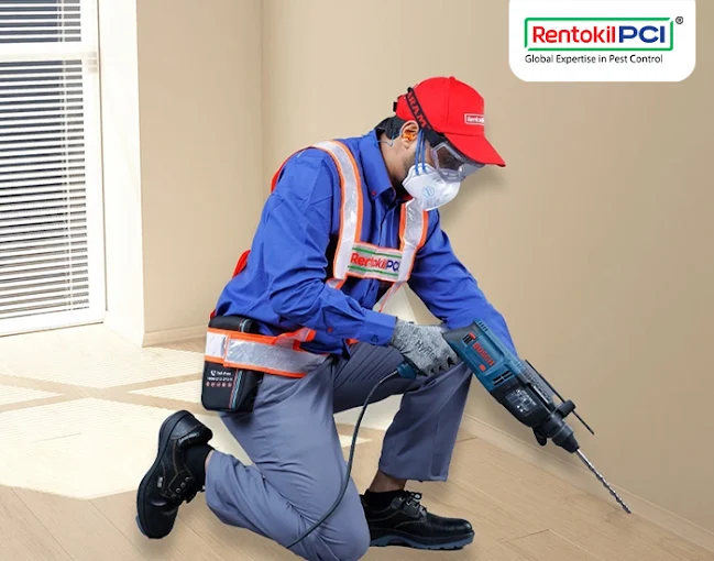 Rentokil PCI Pest Control Service