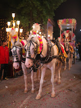 Sindhi Hira Band